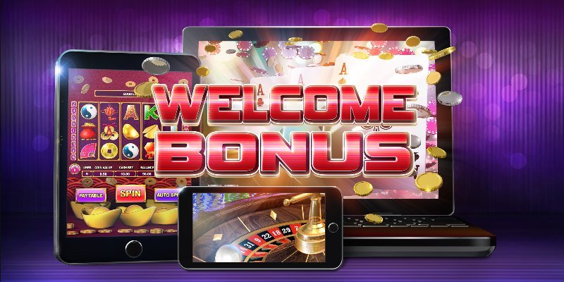 Spin Panda Casino betrouwbaar casino Nederland