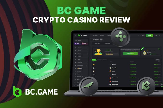 How to Easily Navigate the BC.Game UAE Login Process How to Easily Navigate the BC.Game UAE Login Process